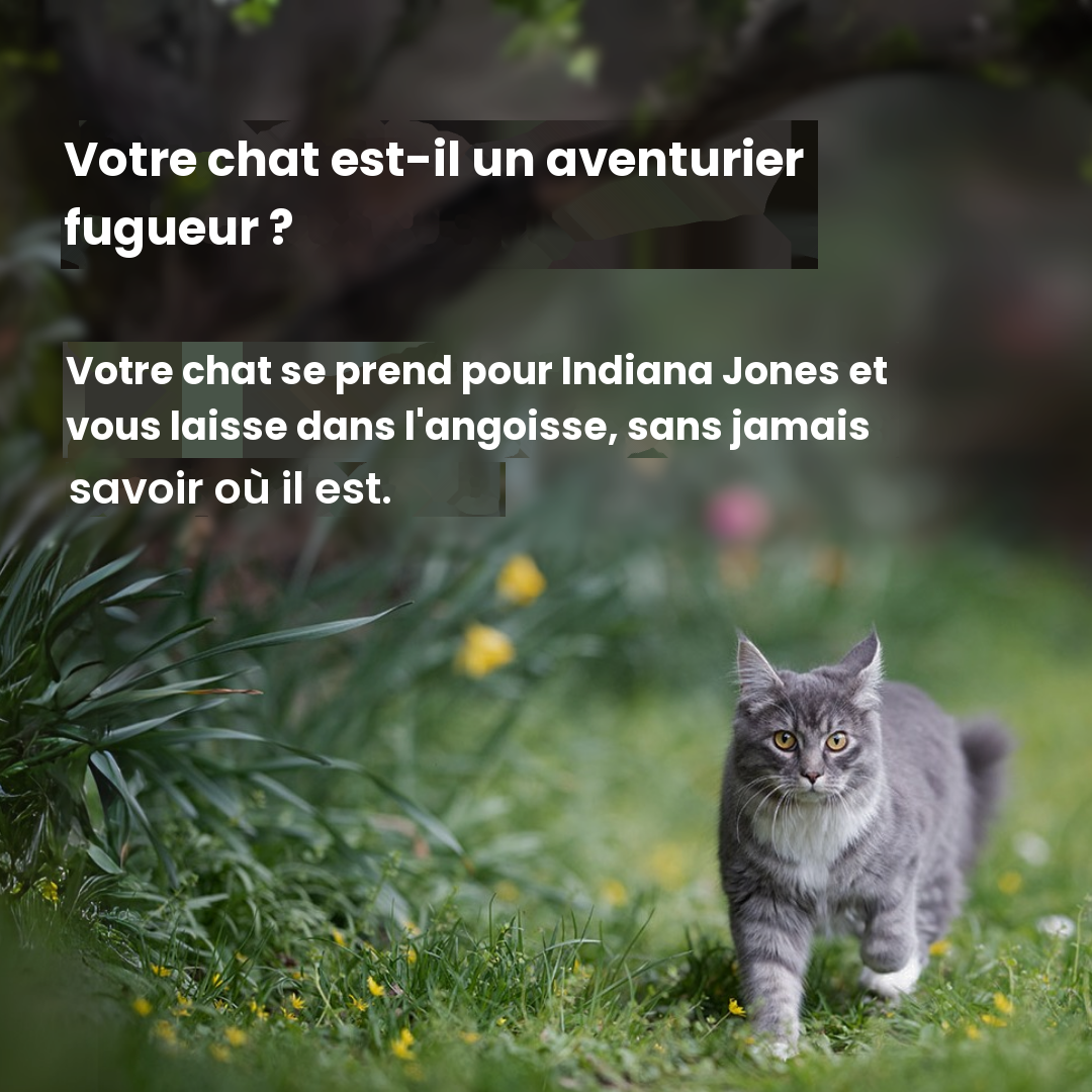 Traceur GPS pour Chat — Sans Abonnement