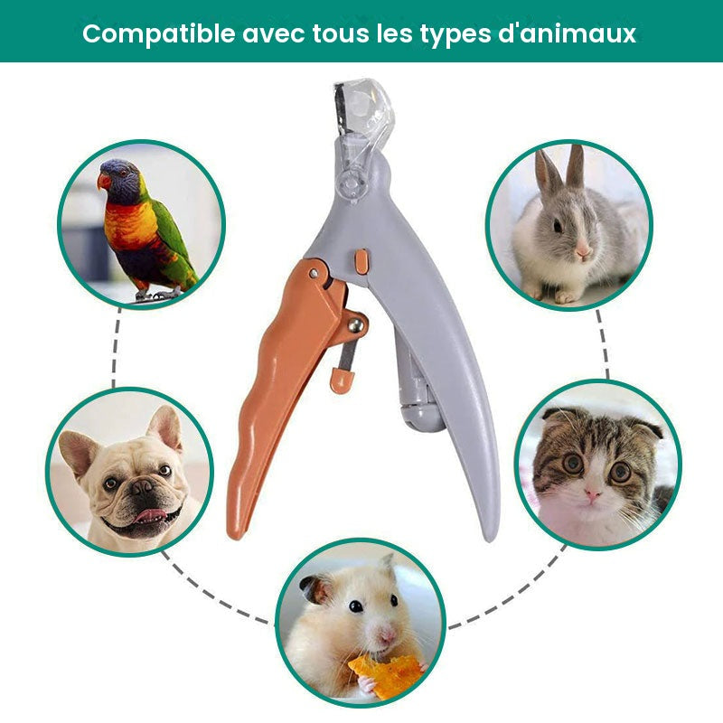 Coupe-griffes Intelligent PawGuard Pro avec Capteurs de Détection Rapide