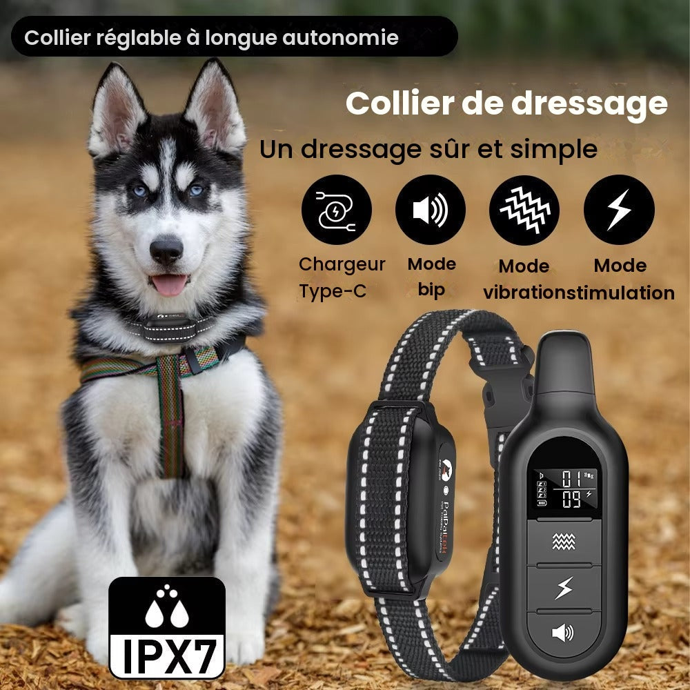 Collier de dressage électrique à télécommande — étanche, 16 niveaux, portée 1000 m — Mansuri