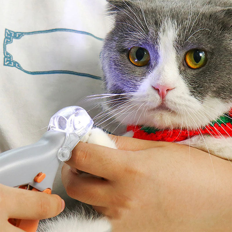 Coupe-griffes Intelligent PawGuard Pro avec Capteurs de Détection Rapide