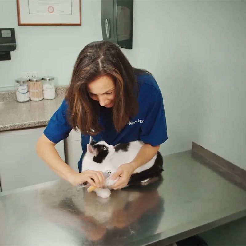 Coupe-griffes Intelligent PawGuard Pro avec Capteurs de Détection Rapide