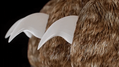 Coupe-griffes Intelligent PawGuard Pro avec Capteurs de Détection Rapide
