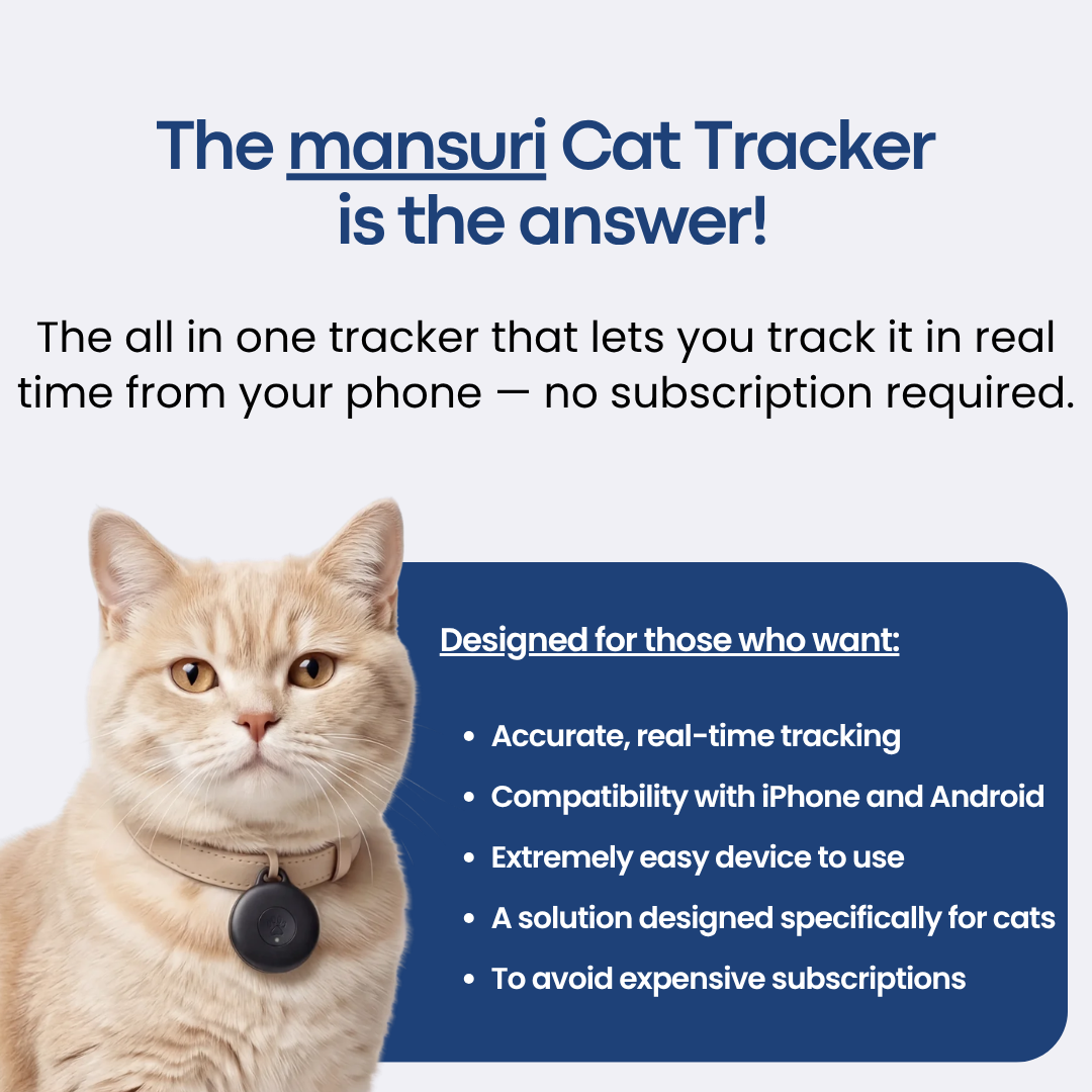 mansuri_prod_cat_s2_peaceofmind